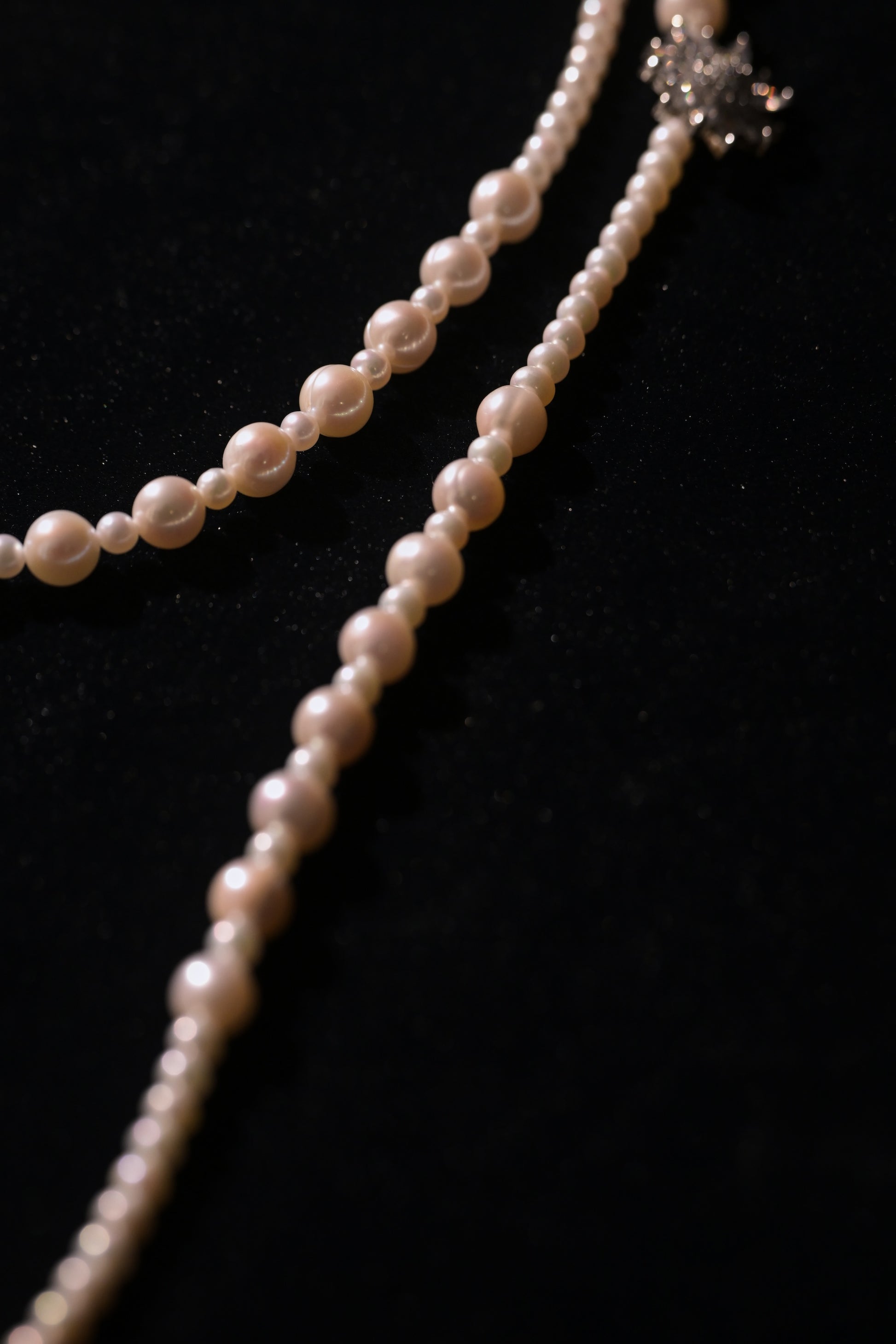 Silver Daisy Freshwater Pearl Sweater Chain